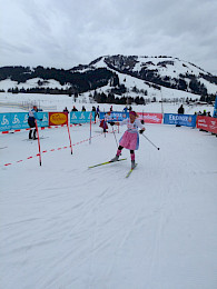 Bild 221: Volksbiathlon 2019