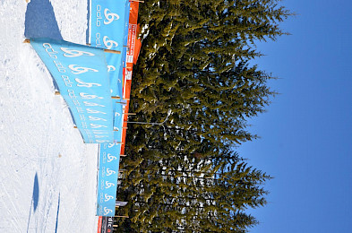 Bild 119: Volksbiathlon 2013