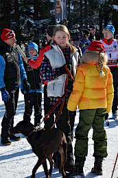 Bild 277: Volksbiathlon 2013